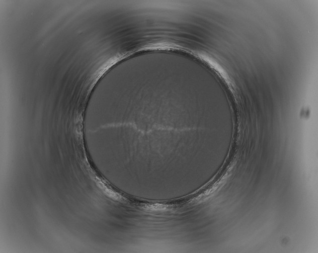 X0000095521329200801111427