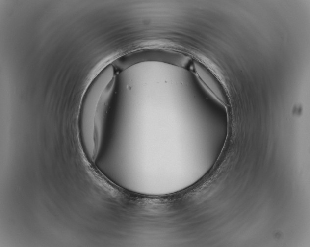 X0000095521330200801111427