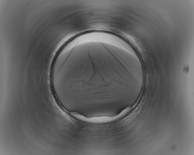 X0000095521331200801111427