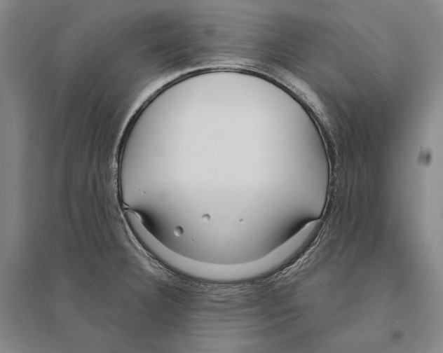 X0000095521332200801111427