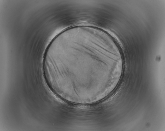 X0000095521333200801111427