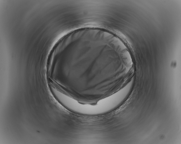 X0000095521334200801111427