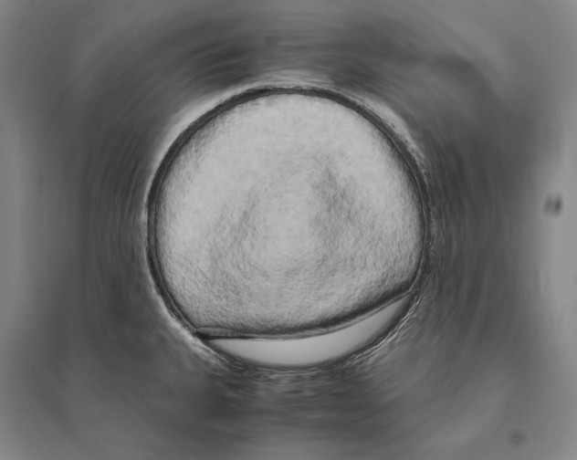 X0000095521335200801111427