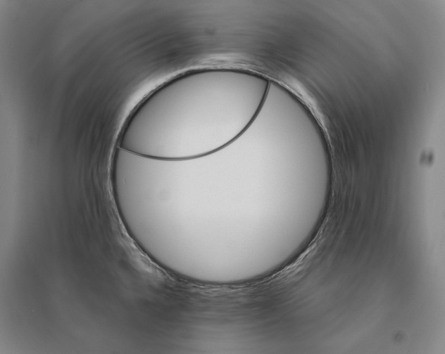 X0000095521336200801111427