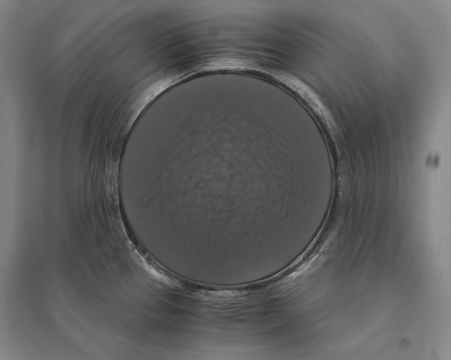 X0000095521337200801111427