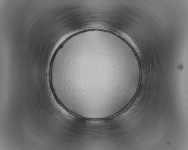 X0000095521339200801111427