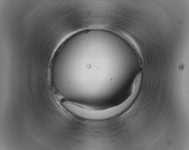 X0000095521340200801111427