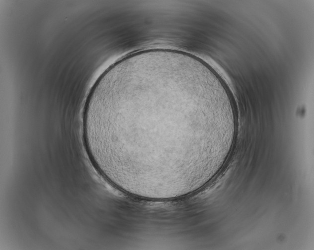 X0000095521341200801111427