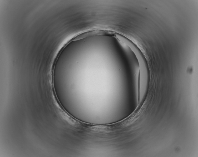 X0000095521342200801111427