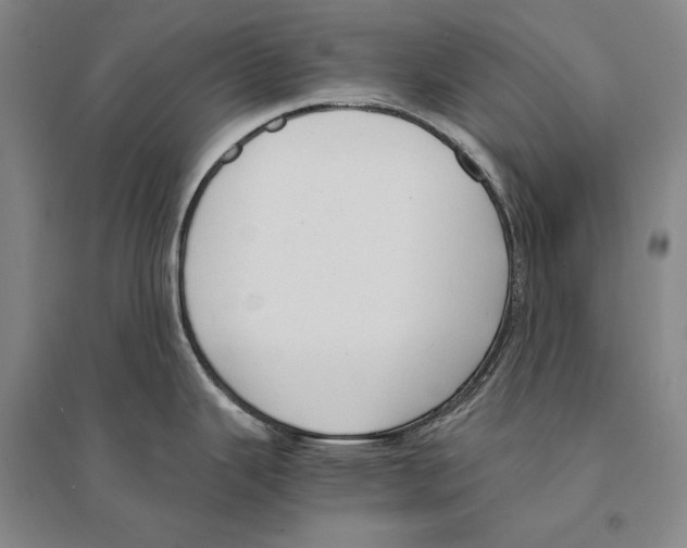 X0000095521343200801111427