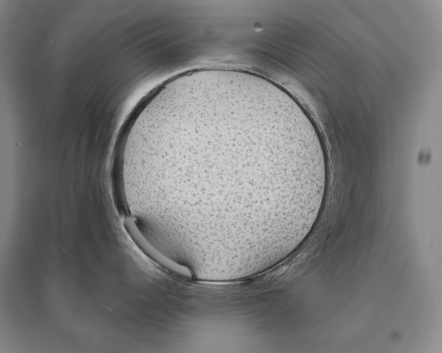 X0000095521344200801111427