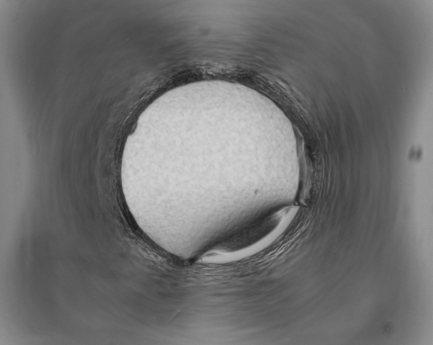 X0000095521345200801111427