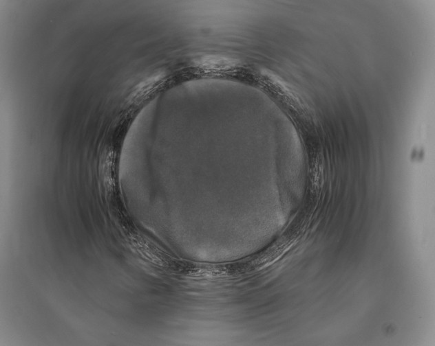 X0000095521346200801111427