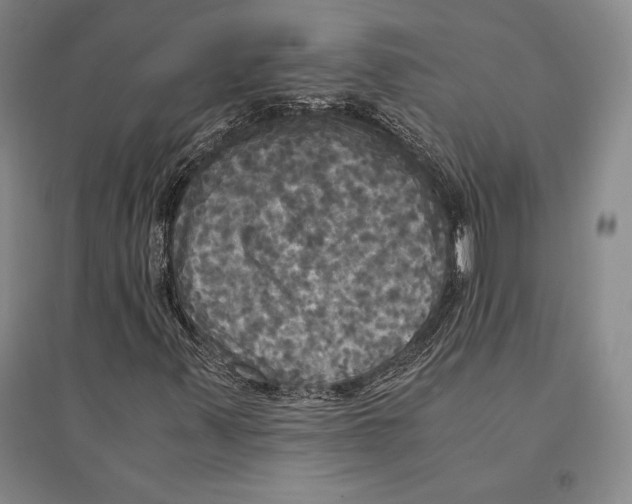 X0000095521347200801111427