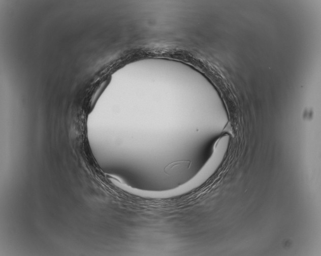 X0000095521349200801111427