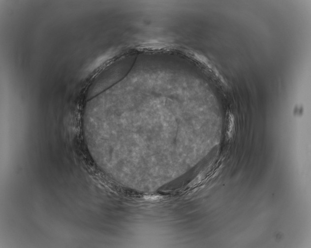 X0000095521350200801111427