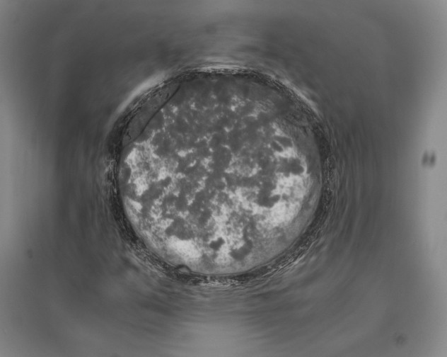 X0000095521351200801111427