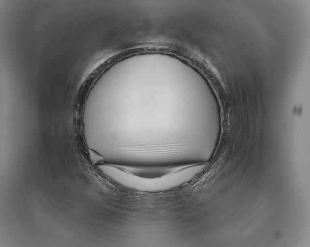 X0000095521352200801111427