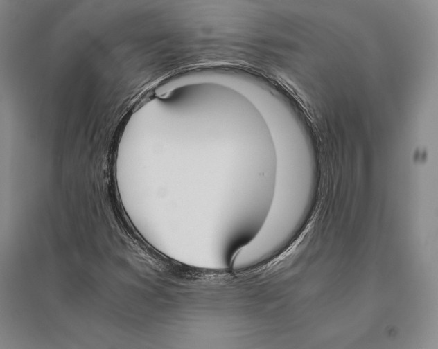 X0000095521353200801111427