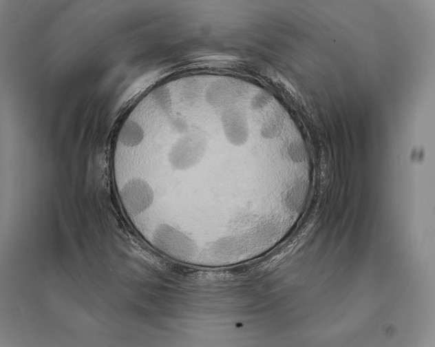 X0000095521354200801111427