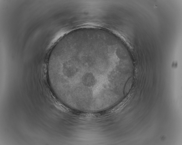 X0000095521355200801111427