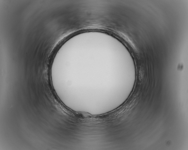 X0000095521356200801111427