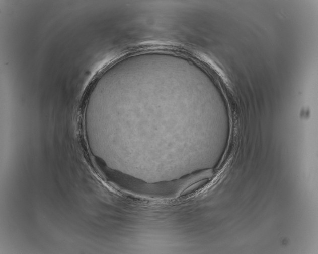 X0000095521357200801111427