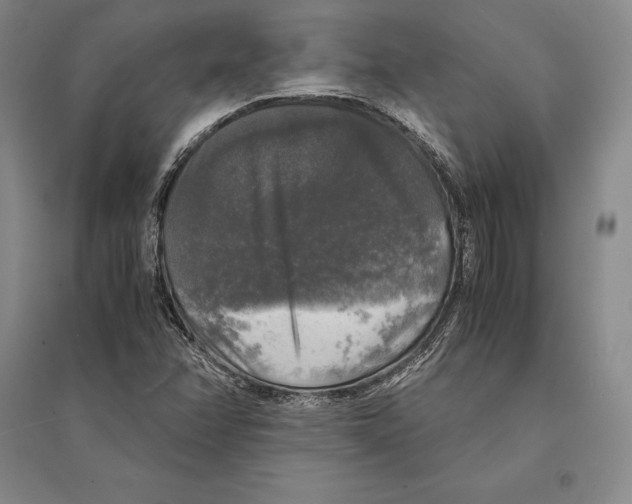 X0000095521358200801111426