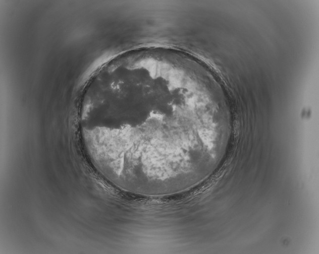 X0000095521359200801111426