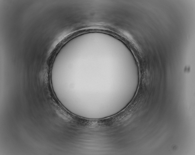 X0000095521360200801111426