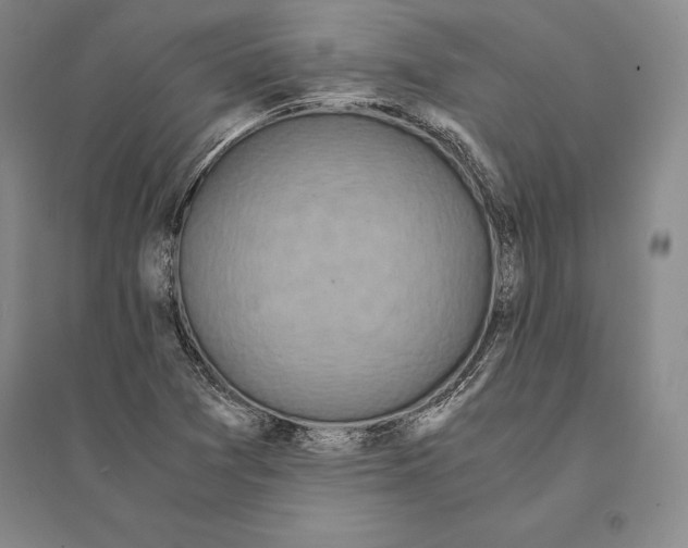 X0000095521361200801111426