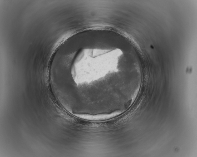 X0000095521362200801111426