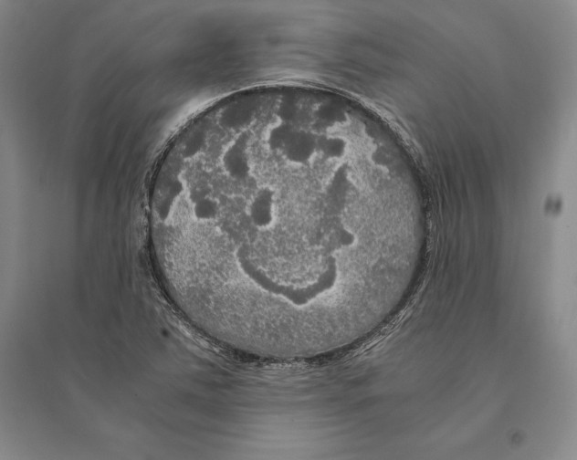 X0000095521363200801111426