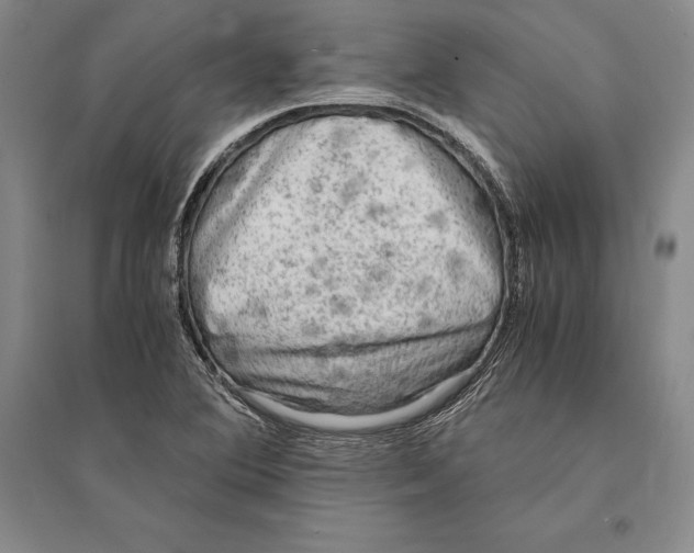 X0000095521364200801111426