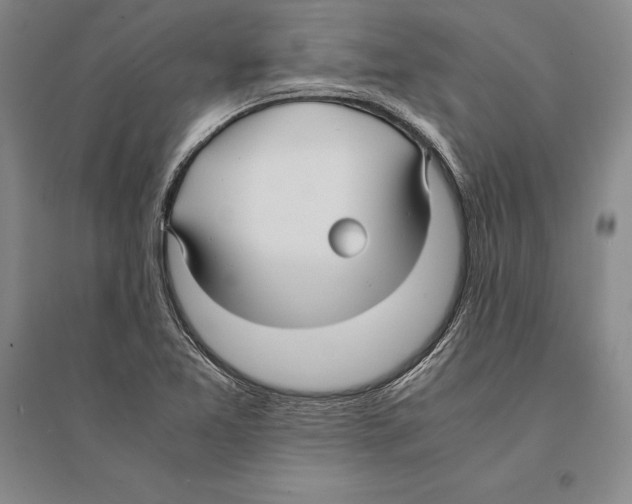 X0000095521365200801111426