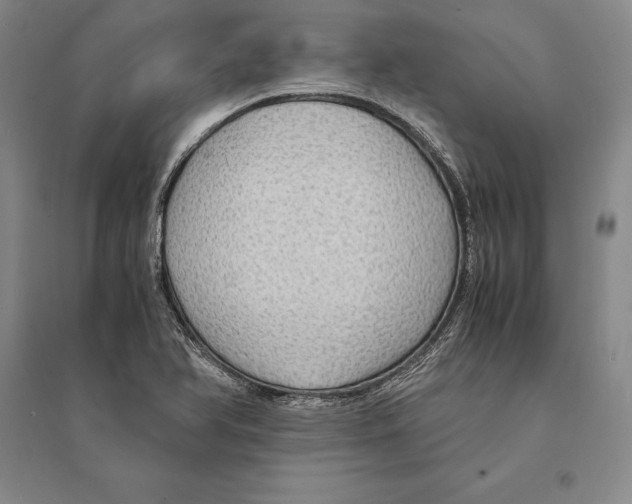 X0000095521366200801111426