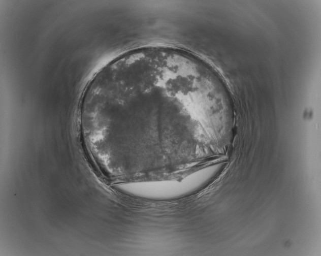 X0000095521367200801111426