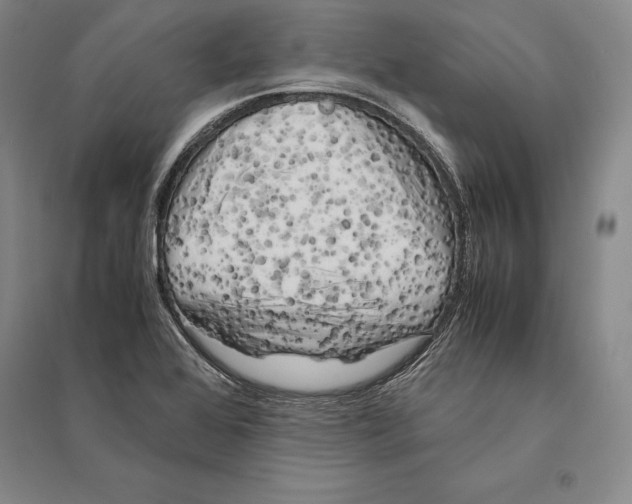 X0000095521368200801111426