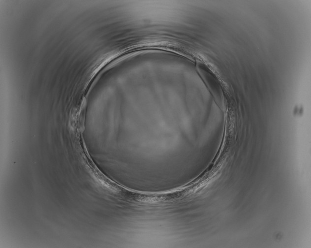 X0000095521369200801111426