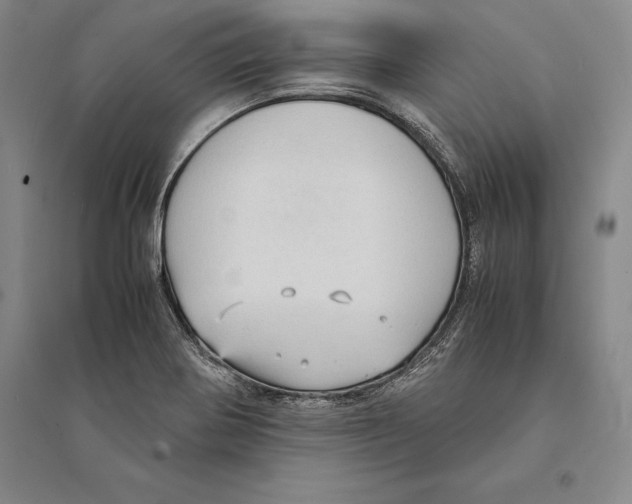 X0000095521370200801111426