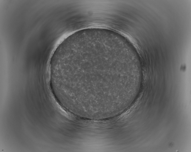 X0000095521371200801111426