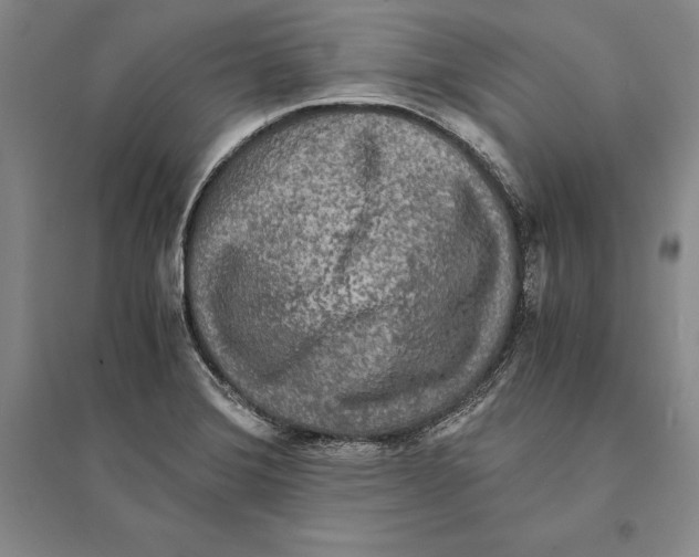 X0000095521372200801111426