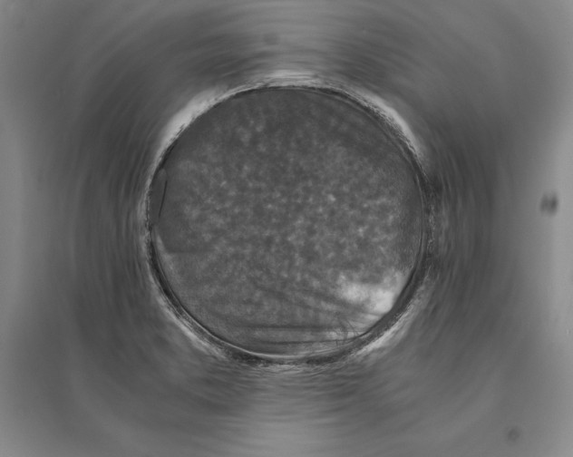 X0000095521373200801111426