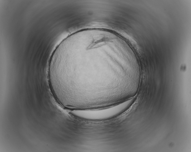 X0000095521374200801111426