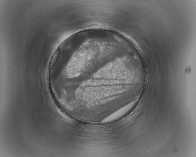 X0000095521375200801111426