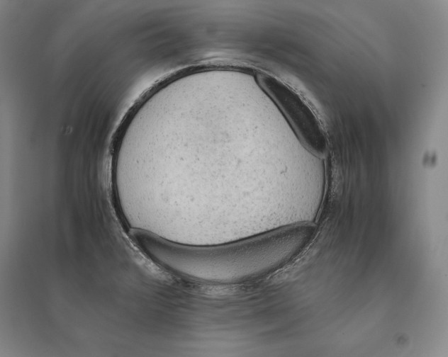 X0000095521376200801111426