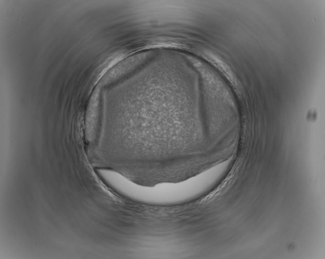 X0000095521377200801111426