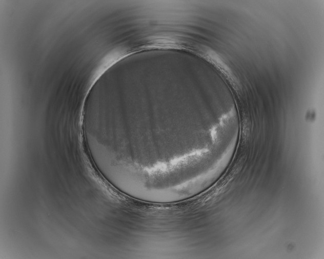 X0000095521378200801111426