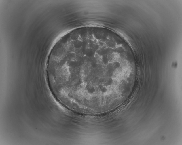 X0000095521379200801111426