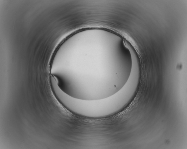 X0000095521380200801111426